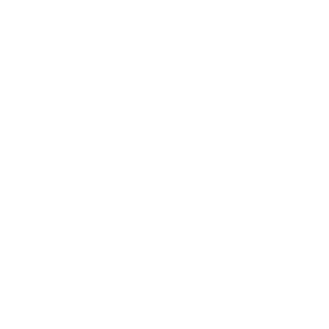 Event Home: Bring Back the Bridge